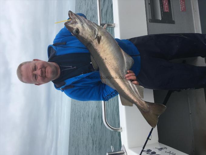 12 lb 8 oz Pollock by Paul Morton