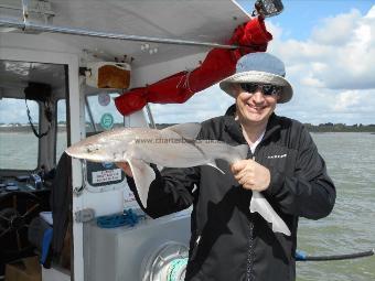 4 lb 5 oz Starry Smooth-hound by Steve