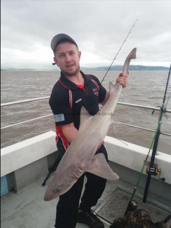 17 lb Starry Smooth-hound by Mark