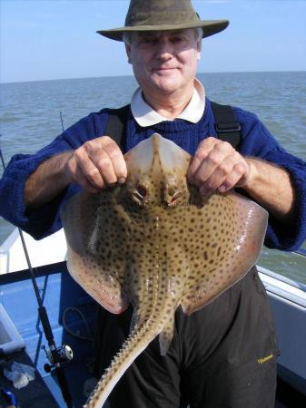 5 lb Blonde Ray by Dave Clark