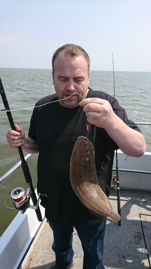 1 lb 8 oz Sand Sole by Unknown