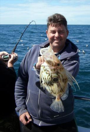 1 lb 4 oz John Dory by Unknown