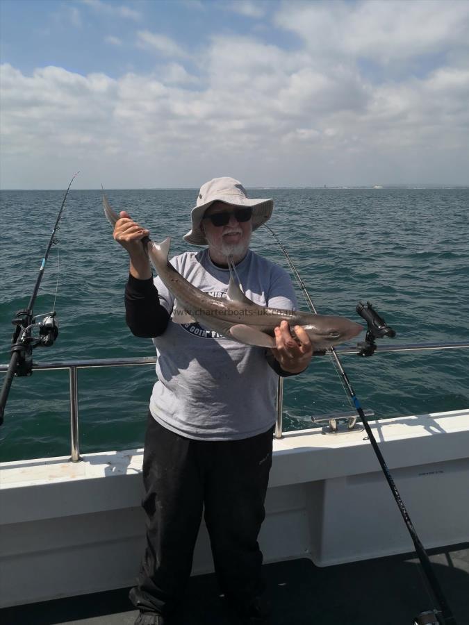 8 lb Smooth-hound by Kim