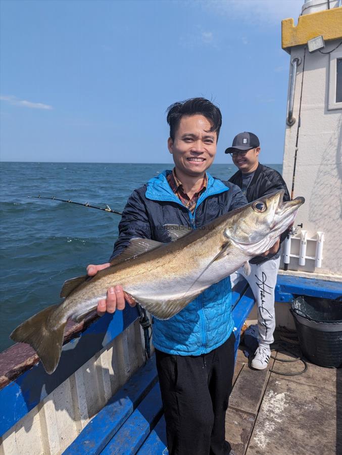 9 lb 4 oz Pollock by Unknown