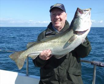 14 lb 8 oz Pollock by Ron Mcevoy