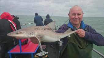 9 lb 5 oz Smooth-hound (Common) by Bob from Kent