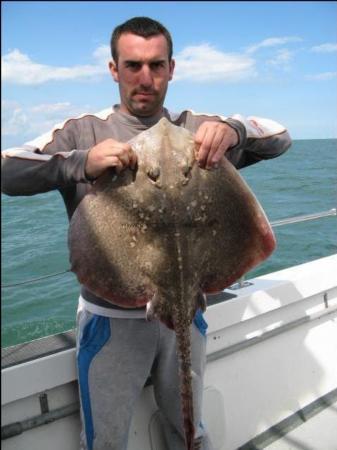 12 lb 8 oz Thornback Ray by Barry Gildders