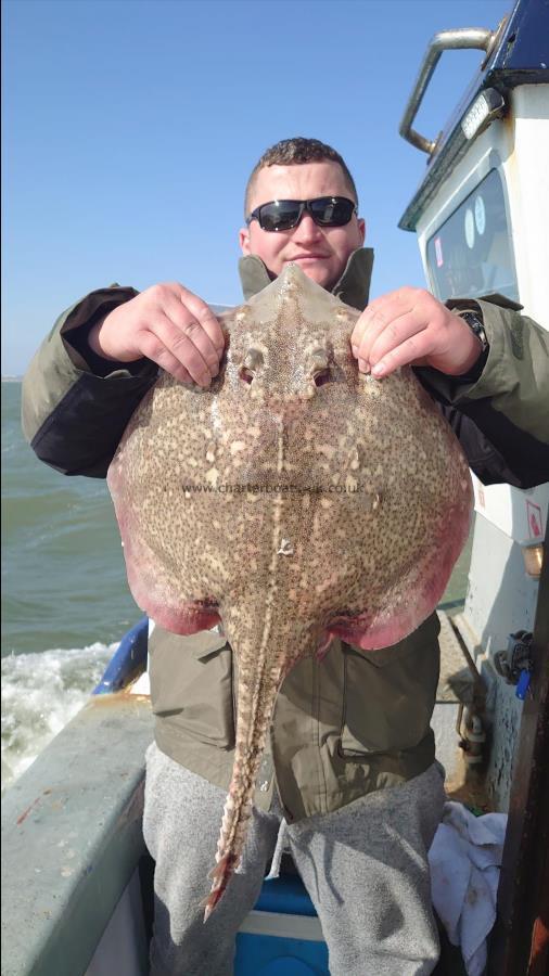 8 lb 4 oz Thornback Ray by Christian from London
