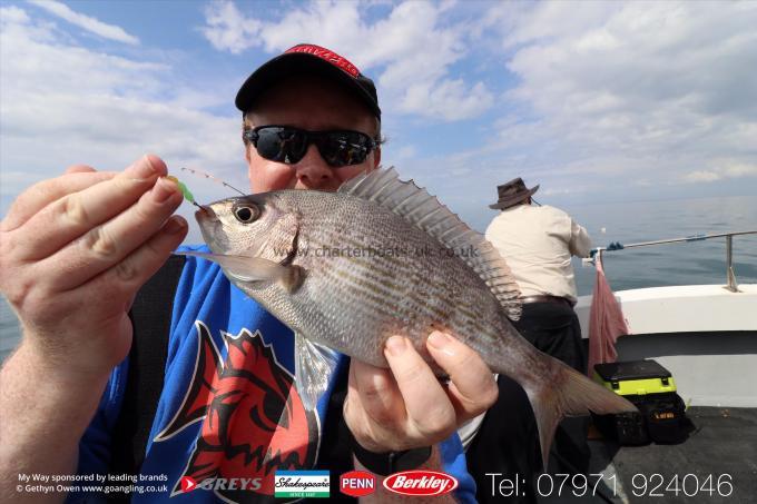 1 lb Black Sea Bream by Mikee