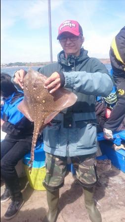 4 lb 1 oz Thornback Ray by Unknown