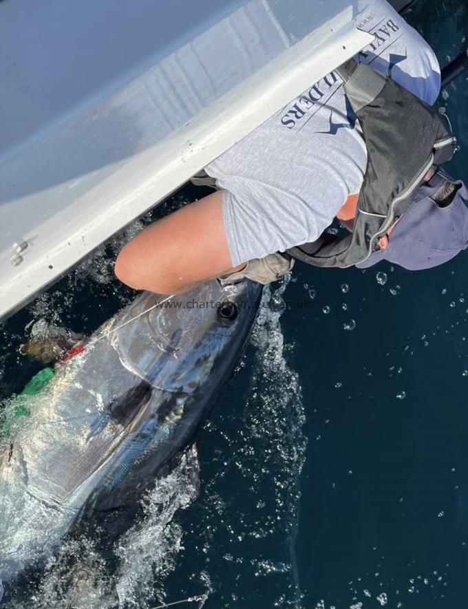220 lb Bluefin Tuna by Client