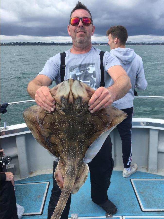 12 lb Undulate Ray by Unknown