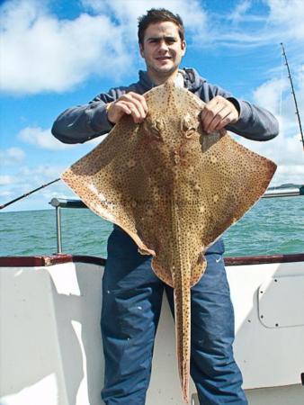 14 lb Blonde Ray by Rory