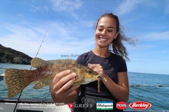 2 lb Ballan Wrasse by Jodie