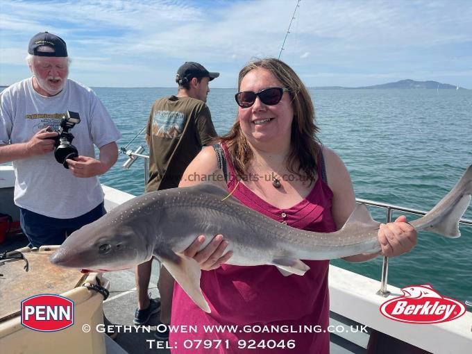 19 lb Starry Smooth-hound by Danielle
