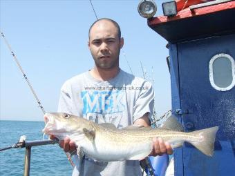 8 lb Cod by Unknown