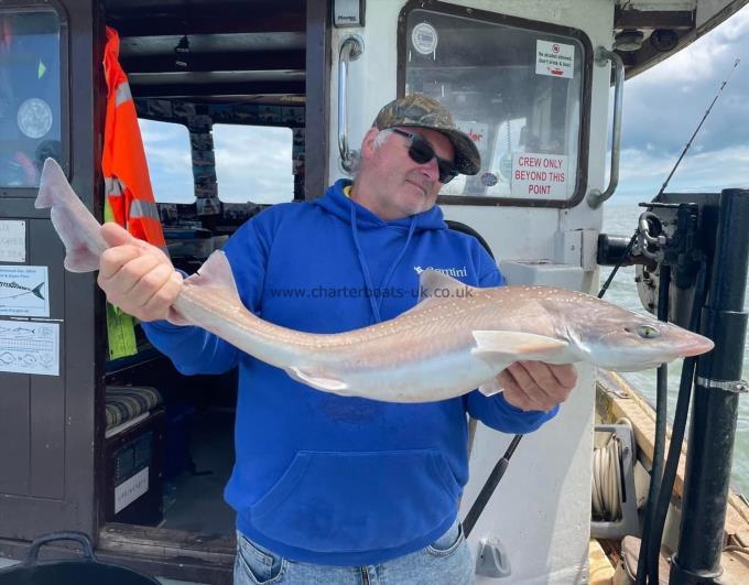 9 lb Smooth-hound by Unknown