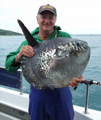 25 lb Sunfish by Andy Collings