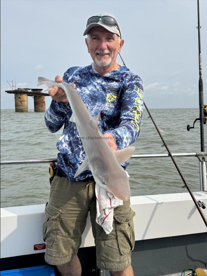 5 lb Tope by Tim