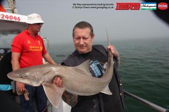20 lb Starry Smooth-hound by Paul