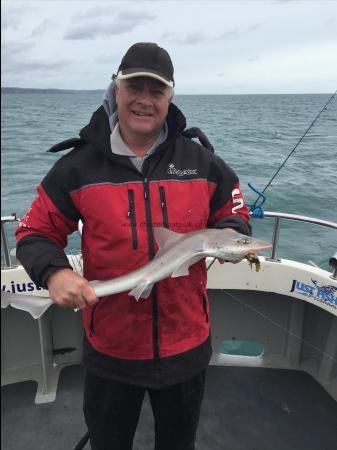 4 lb Smooth-hound by Unknown