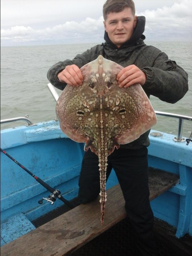 8 lb Thornback Ray by Gabriel