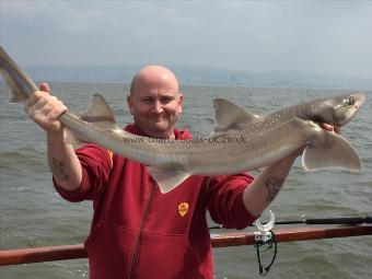 14 lb 4 oz Smooth-hound (Common) by Colin Davies