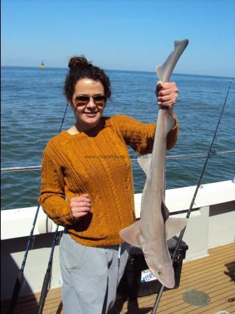 9 lb 2 oz Smooth-hound by Jas