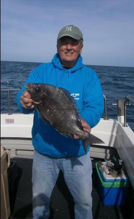 4 lb 2 oz Black Sea Bream by Bob