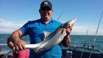 17 lb 2 oz Starry Smooth-hound by Peter