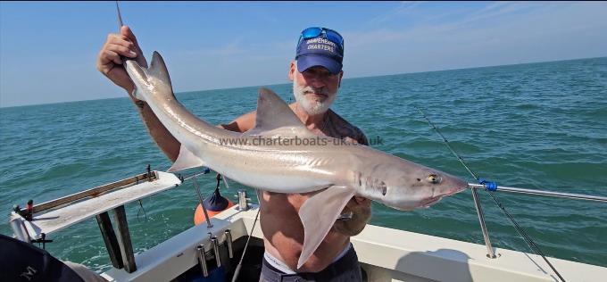 10 lb 8 oz Smooth-hound by Phil