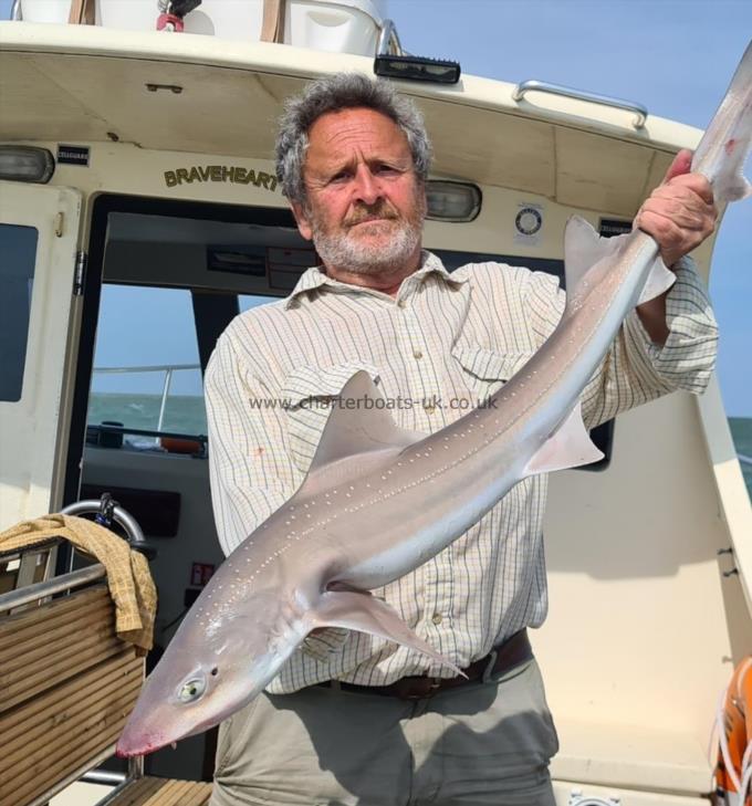11 lb Starry Smooth-hound by Mick