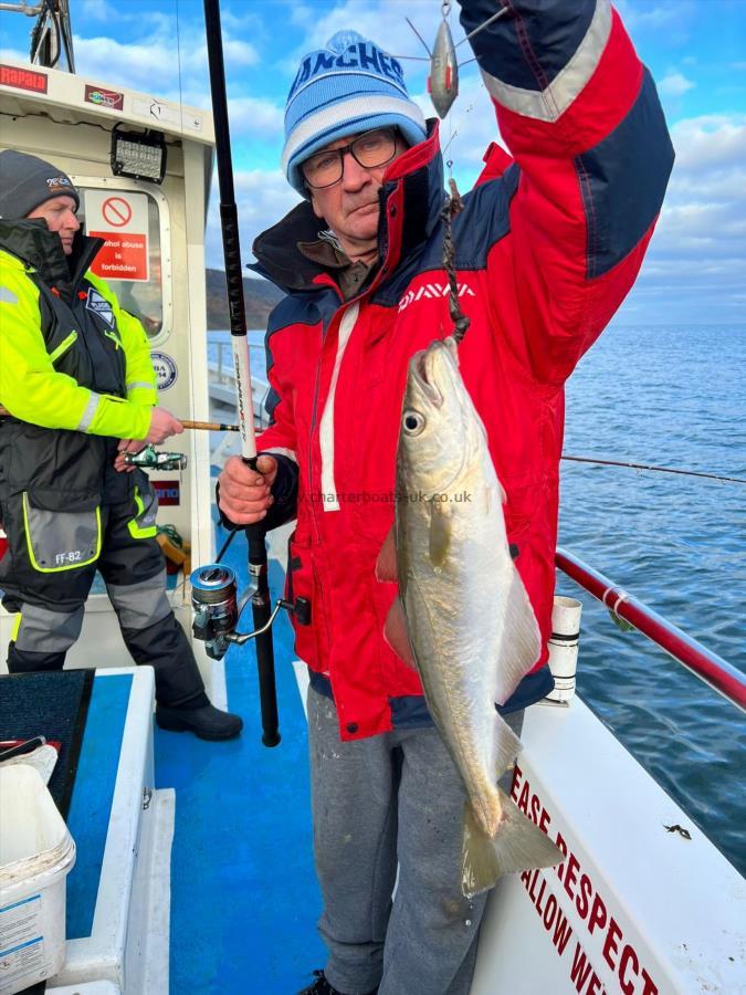 4 lb 6 oz Pollock by Cliff.