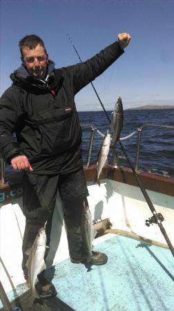 2 lb 5 oz Coalfish (Coley/Saithe) by Unknown