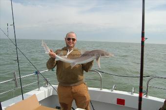 10 lb Smooth-hound (Common) by Unknown