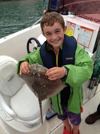 2 lb Thornback Ray by Jimmy Lemon