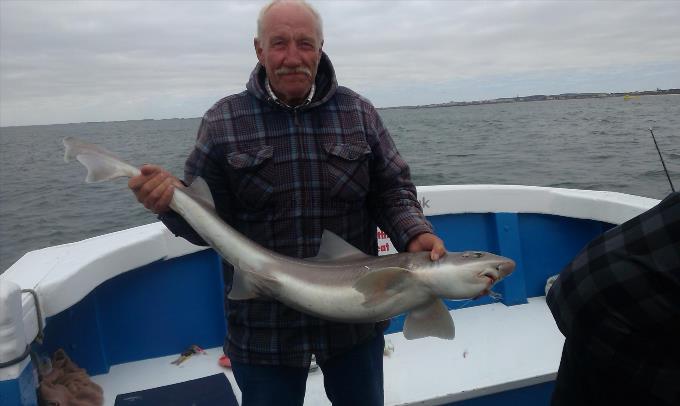 1 lb Smooth-hound by Vic from Goole