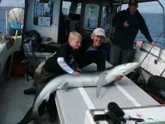 120 lb Blue Shark by Unknown