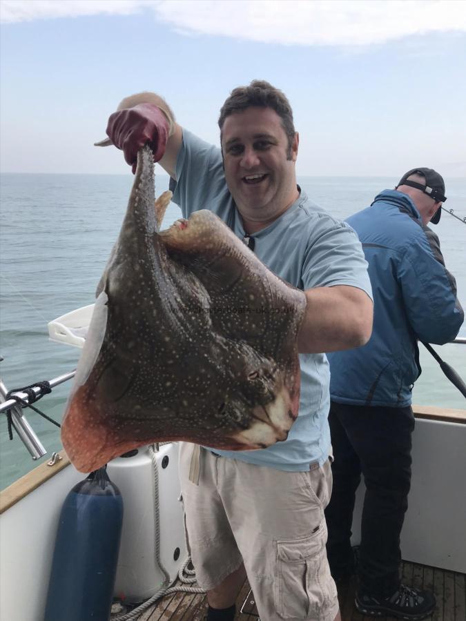 16 lb 8 oz Undulate Ray by Scott