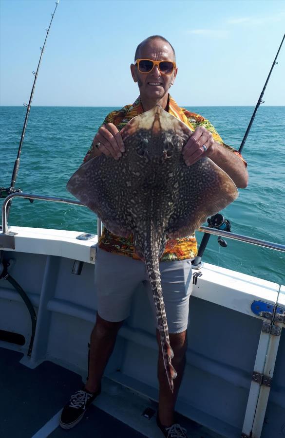 13 lb Thornback Ray by Unknown