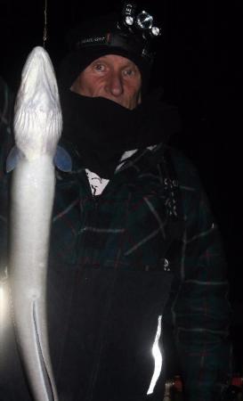 10 lb Conger Eel by Unknown