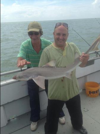 15 lb 6 oz Smooth-hound (Common) by Unknown