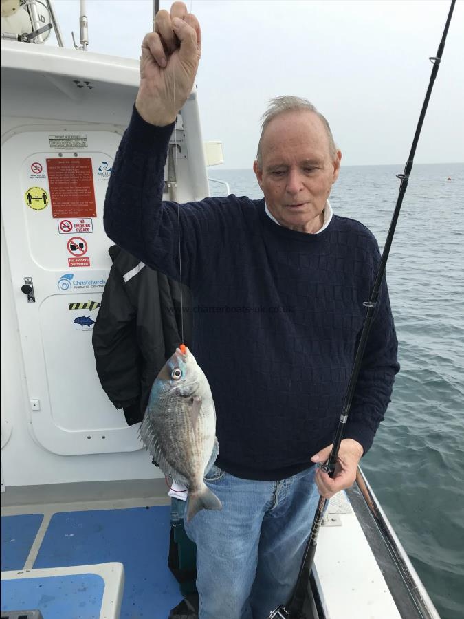 1 lb 12 oz Black Sea Bream by Chris