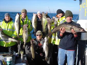 15 lb Pollock by David