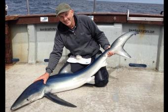 90 lb Blue Shark by Graham L