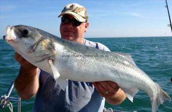 12 lb 12 oz Bass by Terry Shergold