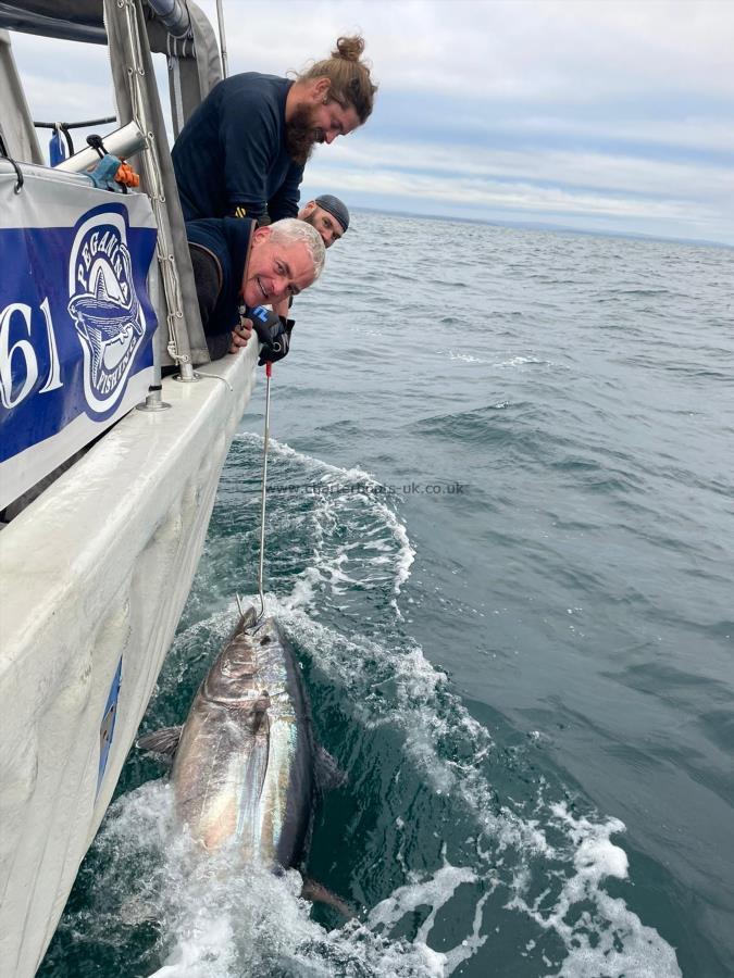 1 Kg Bluefin Tuna by Unknown