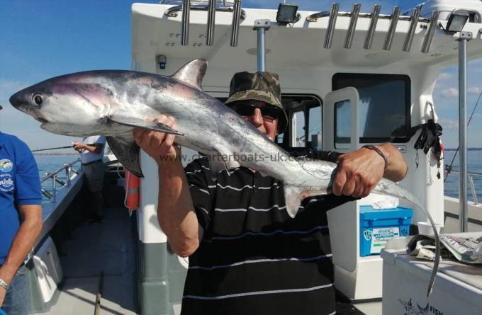 40 lb Thresher Shark by Ray Weeks