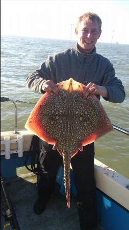 16 lb 8 oz Thornback Ray by best of severall skate for  the day