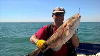 13 lb Cod by Stephen Wake